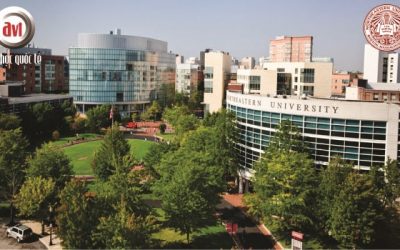 Gặp gỡ Đại học Northeastern – Top 50 trường đại học hàng đầu tại Mỹ