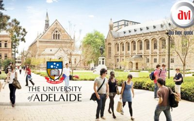 Dự bị chuyển tiếp thạc sĩ tại đại học Adelaide- Top 8 đại học tại Úc