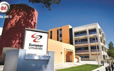 Các ngành đào tạo trong chương trình cử nhân của Đại học EU