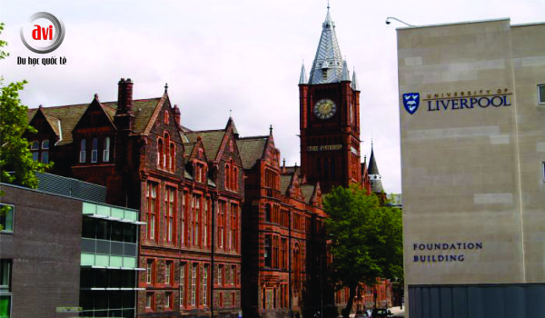 Trường Đại học Liverpool (University of Liverpool)