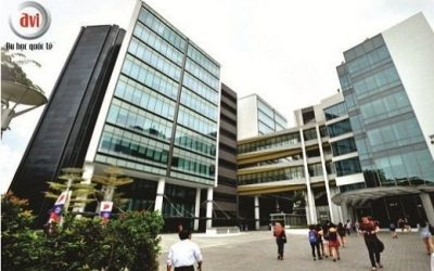 Thông báo sơ tuyển (đợt 2) Học bổng 100% học phí của Học viện Quản Lý Singapore (SIM)