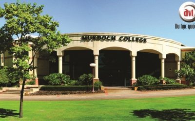 Chương trình đào tạo của trường Murdoch College, Australia