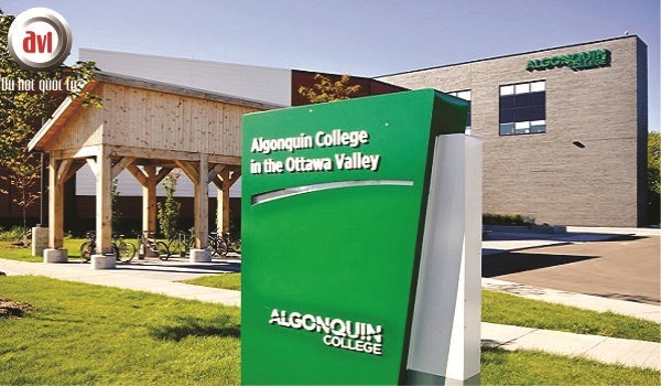 Cao đẳng Algonquin dành tặng học bổng hấp dẫn cho sinh viên quốc tế