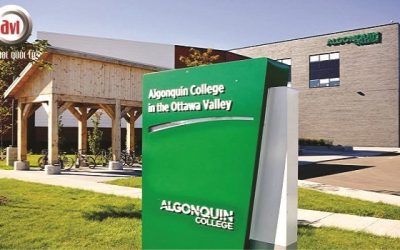 Cao đẳng Algonquin dành tặng học bổng hấp dẫn cho sinh viên quốc tế