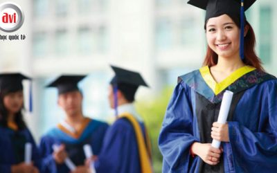 Các chuyên ngành đào tại tại học viện Amity Singapore