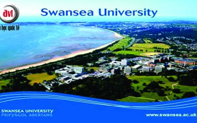 Đại học Swansea ( Swansea University)