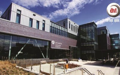Học bổng lên tới 100% học phí tại trường Humber College, Canada