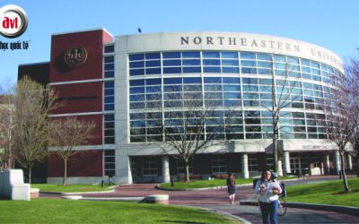 Chương trình học chuyển tiếp vào năm 3 của Trường Đại học Northeastern, Hoa Kỳ
