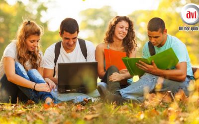 Chia sẻ của một Sinh viên Việt Nam theo học tại Fleming College