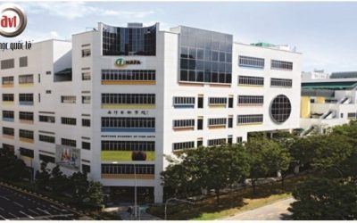 Cử nhân nghệ thuật chuyên ngành sân khấu, Học viện NAFA