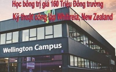 Học bổng Trường Kỹ thuật công lập Whitireia, New Zealand trị giá 160 triệu đồng