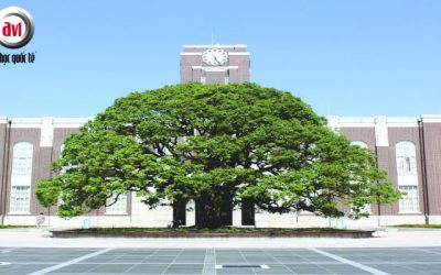 Đại học Kyoto – Trường Đại học hàng đầu Nhật Bản