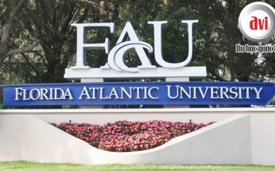Đại học Florida Atlantic – FAU