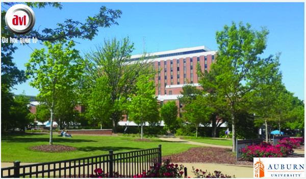 Trường Đại học Auburn, Hoa Kỳ