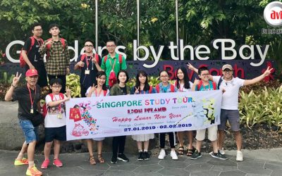Du Học Hè Singapore 2019 An Toàn Và Chất Lượng