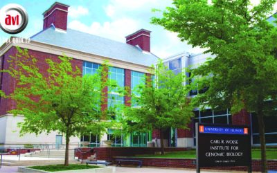 Trường Đại học Illinois, Hoa Kỳ