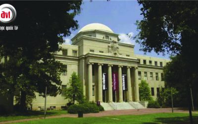 Đại học Nam Carolina (University of South Carolina)