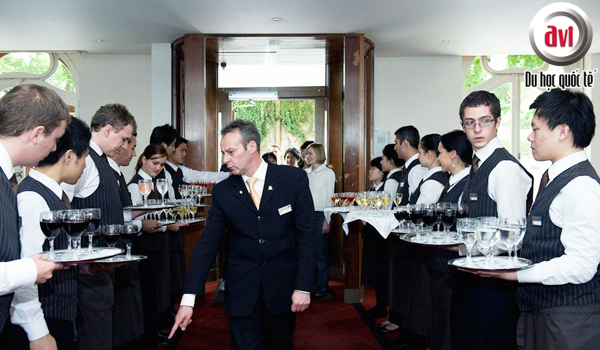 Các chương trình đào tạo tại Học viện khách sạn quốc tế Montreux &#8211; HIM, Thụy Sĩ