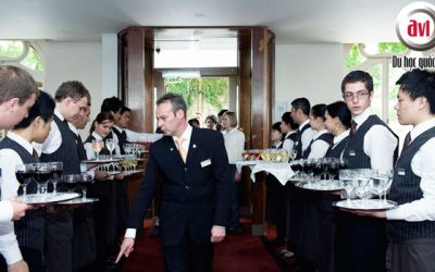 Các chương trình đào tạo tại Học viện khách sạn quốc tế Montreux – HIM, Thụy Sĩ