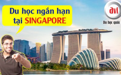 Du học ngắn hạn tại Singapore