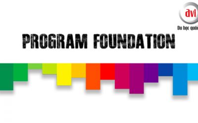 Chương trình Foundation program