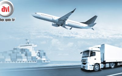 Những yếu tố để thành công trong ngành Logistics