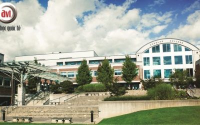Gặp gỡ đại diện trường Douglas College – Canada tại Việt Nam