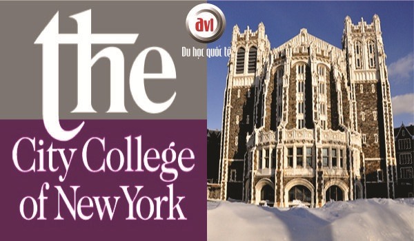 Trường City College Of Newyork &#8211; Hoa Kỳ