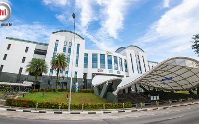 Khởi Nghiệp Tại Sim: Ngành Học Kinh Doanh Quốc Tế