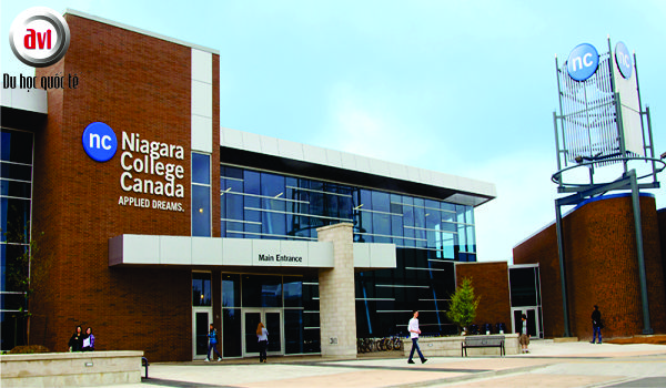 Vì Sao nên chọn Trường Cao đẳng Niagara, Canada