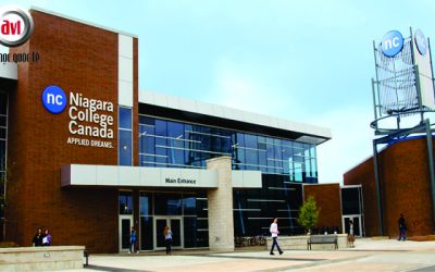 Vì Sao nên chọn Trường Cao đẳng Niagara, Canada
