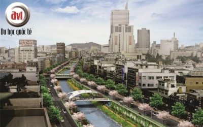 Những lý do khiến bạn chọn du học Hàn Quốc