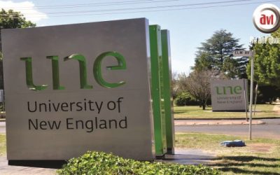 Trường Đại Học New England – University of New England