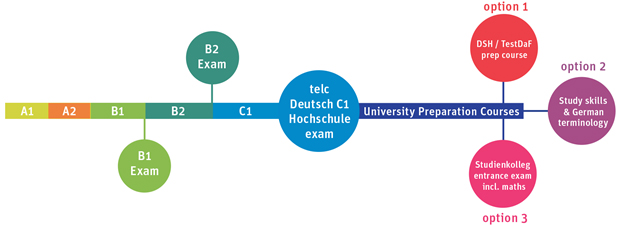 Academic pathway