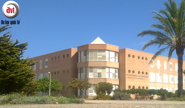 Trường Đại học Almeria ( Almeria University)