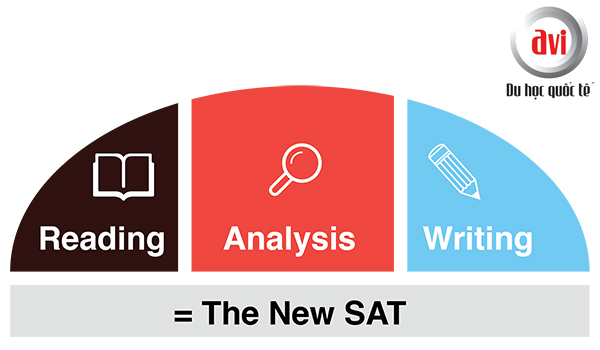 Cấu trúc the new SAT (SAT mới)