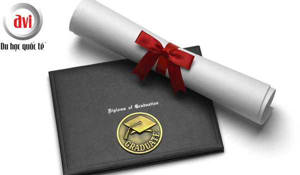 chứng chỉ (certificate) và bằng cấp (degree)