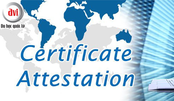 Chương trình cấp chứng chỉ (certificate)