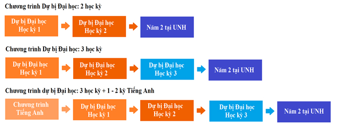 Cấu trúc chương trình dự bị đại học UNH Cấu trúc chương trình dự bị đại học UNH