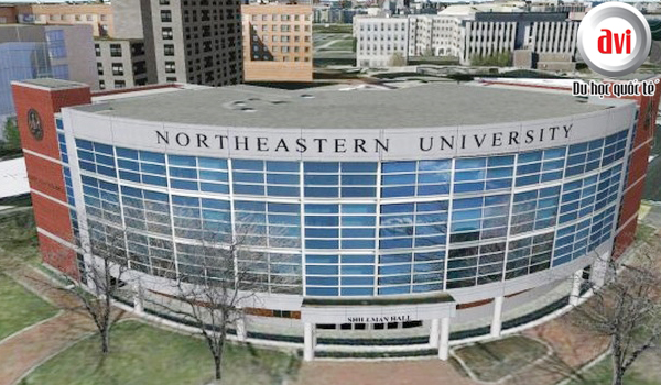 Chương trình học chất lượng và sự hỗ trợ từ nhiều phía của Northeastern University