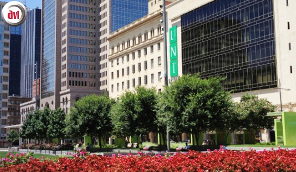 Đại học Bắc Texas