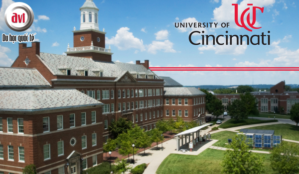 Đại Học Cincinnati – Trường đại học công lập hàng đầu ở Mỹ