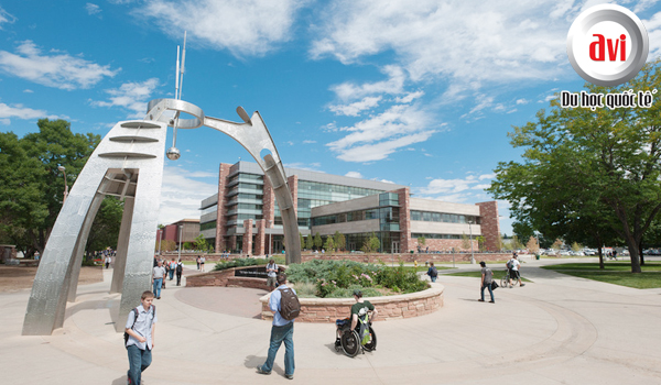 Đại học Colorado State University bang Colorado của Hoa Kỳ.