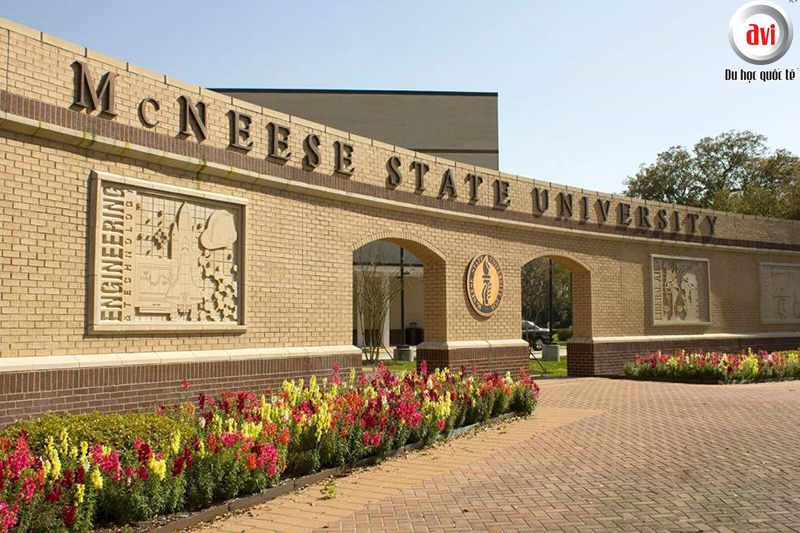 Trường Đại học McNeese
