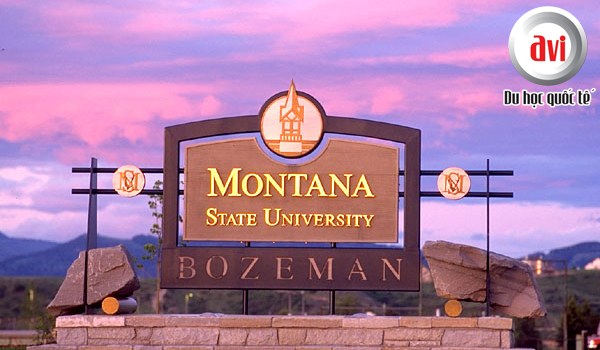 Đại học Montana - Montana State University - Bozeman, Mỹ