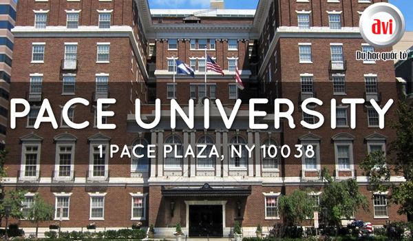 Khuôn viên đại học Pace tại New York