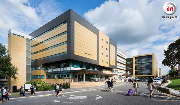 Đại học Surrey - Top 10 UK ngành kỹ thuật