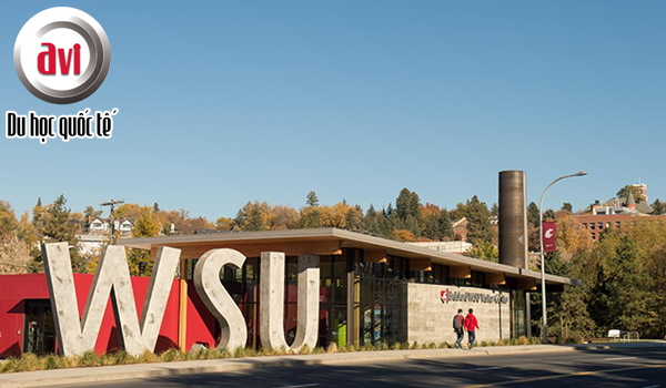 Trường đại học bang Washington - Washington State University