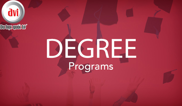 Chương trình cấp bằng (degree) được cung cấp ở nhiều bậc học