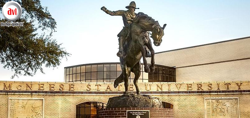 Những điểm nổi bật của đại học McNeese